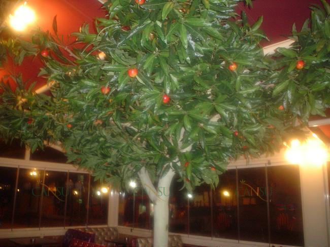 Yapay Ağaç, Yapay Meyve Ağacı, Yapay Yapraklı Ağaç, Yapay Fantezi Ağaç, Yapay Şimşir Ağaç, Yapay Bonzai