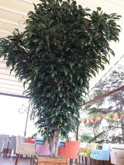 Yapay Ağaç, Yapay Meyve Ağacı, Yapay Yapraklı Ağaç, Yapay Fantezi Ağaç, Yapay Şimşir Ağaç, Yapay Bonzai