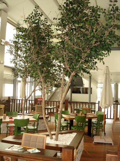 Yapay Ağaç, Yapay Meyve Ağacı, Yapay Yapraklı Ağaç, Yapay Fantezi Ağaç, Yapay Şimşir Ağaç, Yapay Bonzai